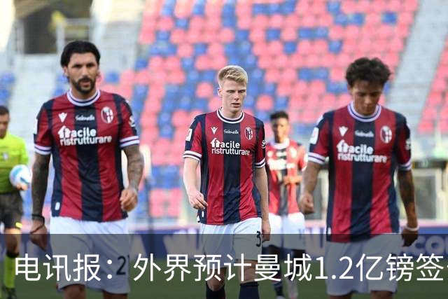 电讯报：外界预计曼城1.2亿镑签安德森 担忧这一价格引发连锁反应